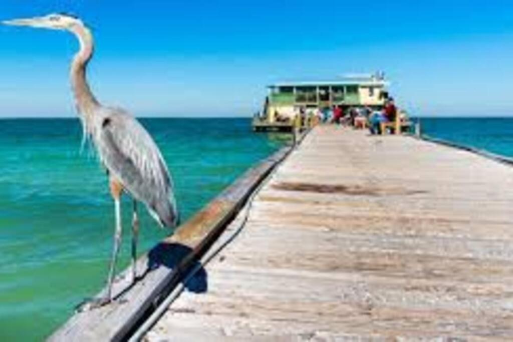 브레던톤 Waterview Oasis Retreat, Minutes To Anna Maria Island And Img 아파트 외부 사진