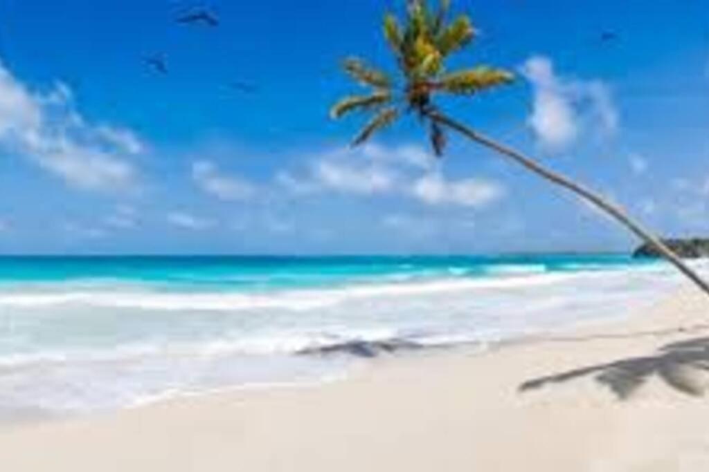 브레던톤 Waterview Oasis Retreat, Minutes To Anna Maria Island And Img 아파트 외부 사진